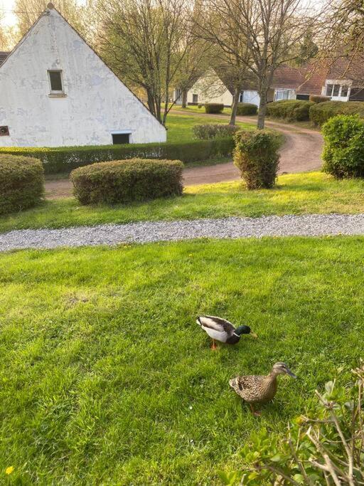Apartmán Le Nid Du Cygne Houlle Exteriér fotografie